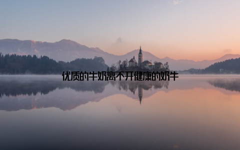 优质的牛奶离不开健康的奶牛