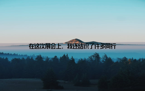 在这次展会上, 我还结识了许多同行