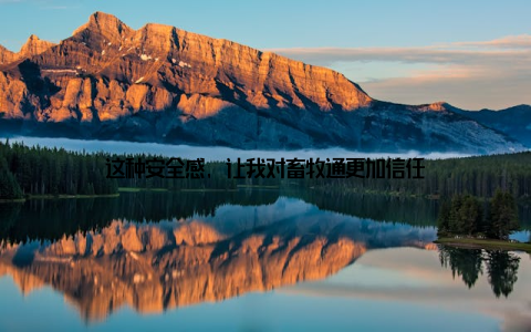 这种安全感, 让我对畜牧通更加信任