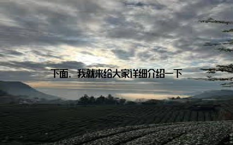 下面, 我就来给大家详细介绍一下