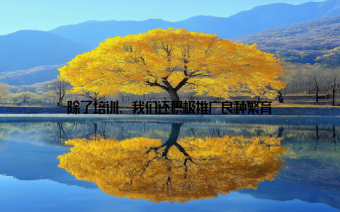 除了培训, 我们还积极推广良种繁育