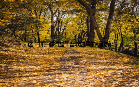 这一切, 都得益于畜牧总局的新政策