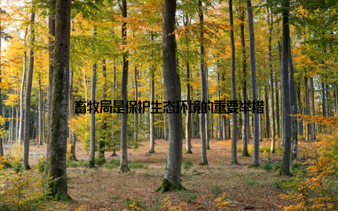 畜牧局是保护生态环境的重要举措