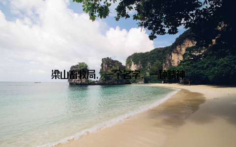 梁山畜牧局, 一个名字, 一种精神