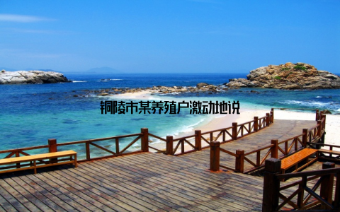 铜陵市某养殖户激动地说