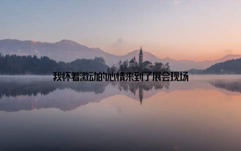 我怀着激动的心情来到了展会现场