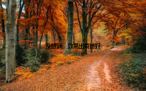 没想到, 效果出奇地好