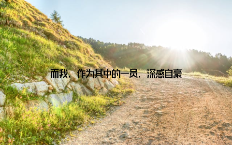 而我, 作为其中的一员, 深感自豪