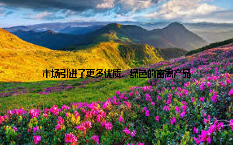 市场引进了更多优质、绿色的畜禽产品