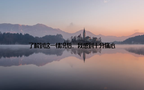 了解到这一情况后, 我感到十分痛心