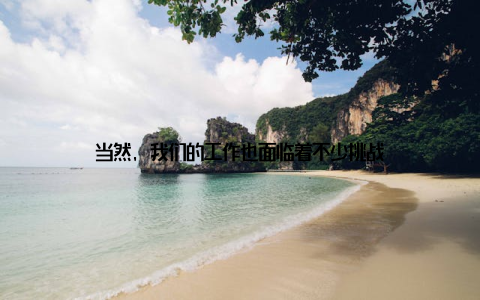 当然, 我们的工作也面临着不少挑战