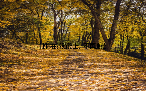 让你在养殖路上, 不再迷茫