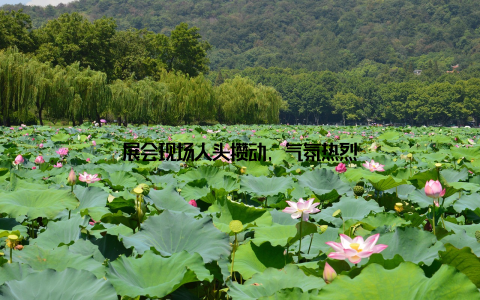 展会现场人头攒动, 气氛热烈