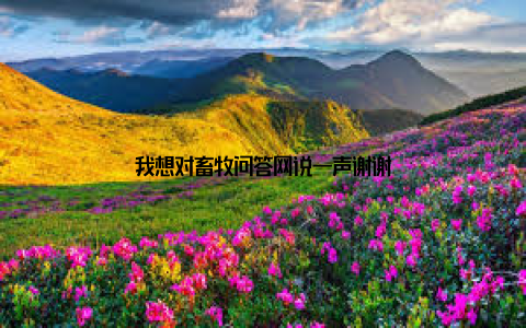 我想对畜牧问答网说一声谢谢