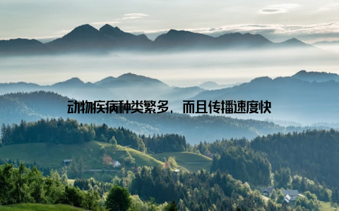 动物疾病种类繁多, 而且传播速度快