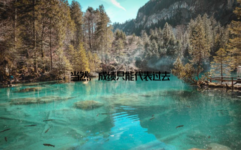 当然, 成绩只能代表过去