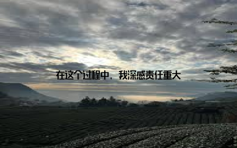 在这个过程中, 我深感责任重大