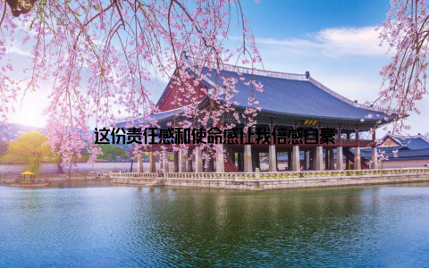 这份责任感和使命感让我倍感自豪