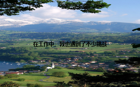 在工作中, 我也遇到了不少挑战