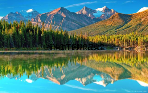 它们有助于保障食品安全