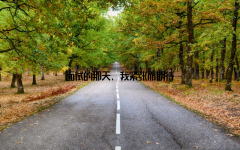 面试的那天, 我紧张而期待