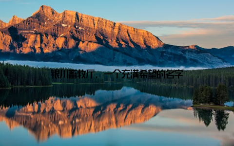 银川畜牧厅, 一个充满希望的名字