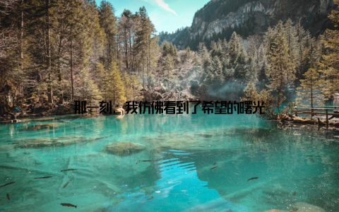 那一刻, 我仿佛看到了希望的曙光