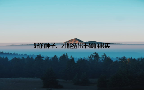 好的种子, 才能结出丰硕的果实