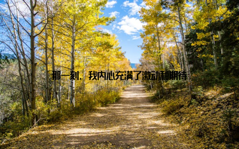 那一刻, 我内心充满了激动和期待