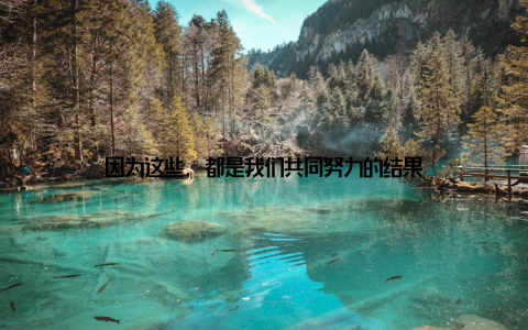 因为这些, 都是我们共同努力的结果