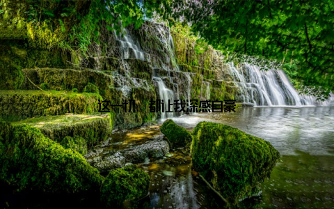 这一切, 都让我深感自豪