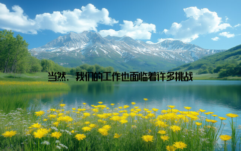 当然, 我们的工作也面临着许多挑战